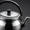 Cafetera De Acero Inoxidable 3L Con Cuello De Ganso